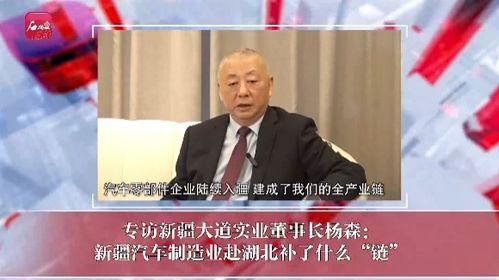 新疆最新新闻爆料视频,揭秘神秘事件背后的真相  第3张